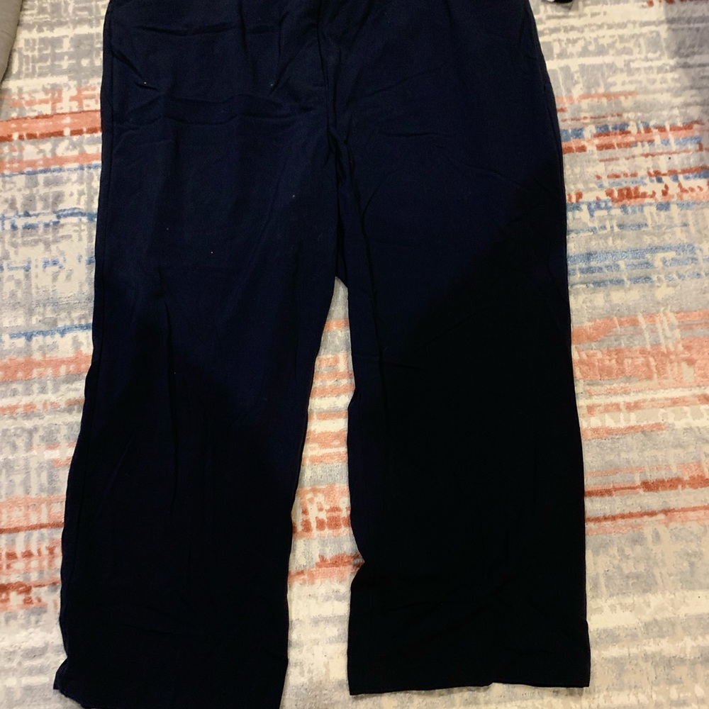NWT Navy Maggie Barnes slacks 24WP